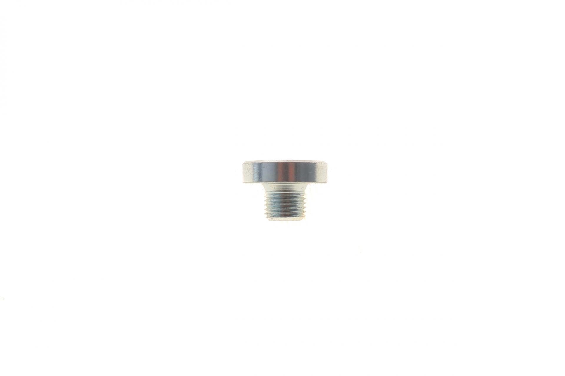 Пробка піддону картера АКПП зливна VW T5 3.2 VR6/2.5 TDI 03-09 (M10x1)