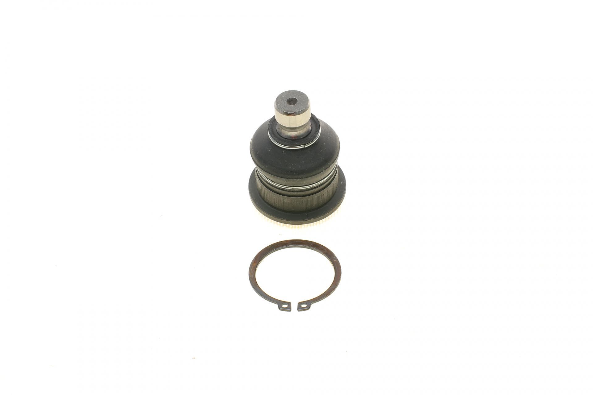 Опора кульова (передня/знизу) Renault Megane II/Scenic 02- (d=16mm)