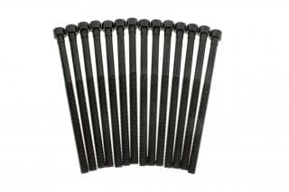 Комплект болтів гбц (14шт) BMW 3 (F30/F80)/5 (G30/F90)/X3 (G01/F97) 15- B46/B48