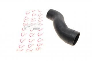 Патрубок інтеркулера BMW 1 (F20/F21) 11- N13