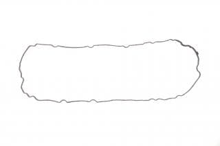 Прокладка кришки клапанів BMW 5 (F10/G30)/X5 (F15/G05) 4.4i (N63/S63) 11- (5-8 циліндр) (к-кт)