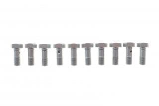 Болт Banjo (банжо) M10x1mm (16x32.3) (к-кт 10шт)