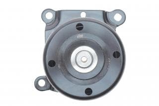 Натяжник ременя генератора Citroen Jumper 2.2HDI/Ford Transit 2.2DI 06- (+AC)