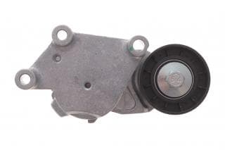 Натяжник ременя генератора Citroen/Peugeot/Ford 1.4HDi/1.6TDCi 01-