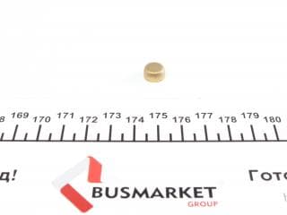 Заглушка блоку циліндрів (d=10mm) Латунь/Brass