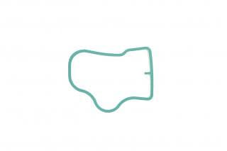 Прокладка колектора впускного Opel Corsa D/Astra J/Chevrolet Aveo 1.0-1.4 06-