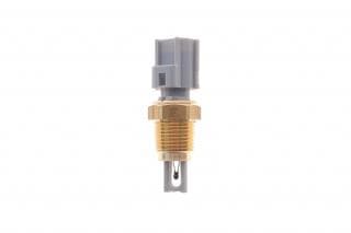 Датчик температури впуску повітря Ford Transit 2.5DI/TD 94-06 (3/8x19 NPT) (сірий)