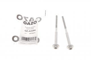 Болт кріплення форсунки VW Passat/Caddy IV 2.0TDI 10- (к-кт 2шт.)