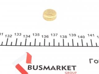 Заглушка блоку циліндрів (d=16,5mm) Латунь/Brass