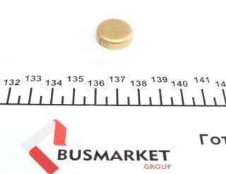 Заглушка блоку циліндрів (d=19mm) Латунь/Brass