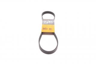 Ремінь генератора VW Golf III/IV/Bora/Skoda Octavia 1.9TDI/SDI 98-10/Mitsubishi Mirage 1.0/1.2 12-