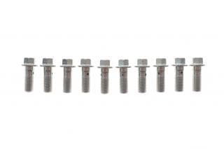 Болт Banjo (банжо) M10x1mm (11x37) (к-кт 10шт)