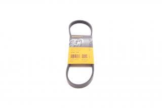 Ремінь генератора Renault Logan/Dacia Sandero 1.4-1.6 04-/Daewoo Matiz 1.0 03-