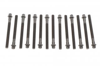 Болти головки (к-кт 14шт.) BMW 3 (E46)/5 (E36/E60/E61) 90- (L=110mm) M52
