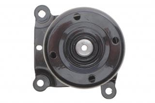 Натяжник ременя генератора Citroen Jumper 2.2HDI/Ford Transit 2.2DI 06- (+AC) (6C1Q19A216)