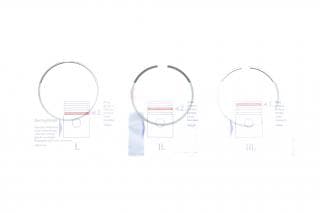 Кільця поршневі Volvo S60/S80/V60/V90/XC40/XC60/XC70/XC90 2.0D 13- (82.00mm/STD) (2-1.75-2)
