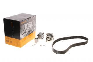 Комплект ГРМ + помпа VW Caddy 07-10/Golf 00-11/Passat 00-09/Audi A3/A4/A6 1.9/2.0TDI 00-05 (30x120z)