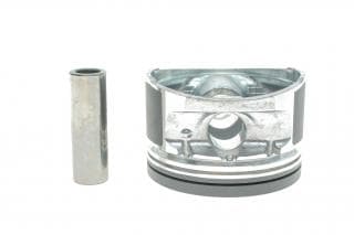 Поршень Daewoo Lanos/Nubira 1.6 97- (79.25mm/+0.25) (к-кт 4 шт)
