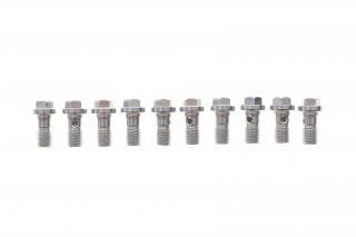 Болт Banjo (банжо) M10x1.5mm (11x28.1) (к-кт 10 шт)
