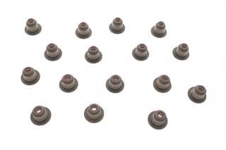 Сальник клапана BMW 3 (E90-E93)/5 (E60/E61)/X3 (E83) 00- N63/N74/N40/N42/N45/N46/N62 (к-кт)