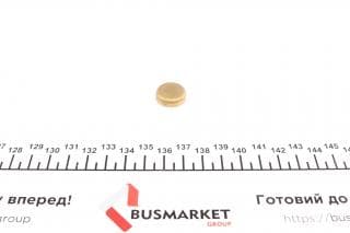 Заглушка блоку циліндрів (d=18mm) Латунь/Brass