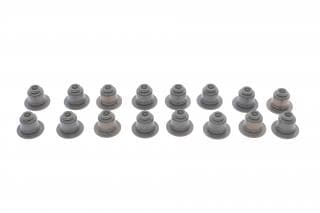 Сальник клапана BMW X5/X6 4.4/4.8/5.0i 03- (к-кт), N63/N74/N40/N42/N45/N46/N62