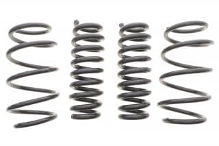 Комплект пружин (Pro-Kit) BMW Z4 Roadster (G29) M40i (B58) 18- (4 шт.)