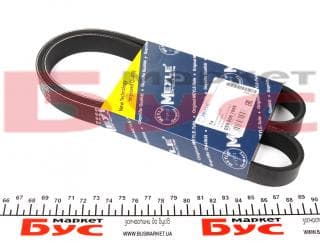 Ремінь генератора Citroen Jumper/Peugeot Boxer 2.0 94- (6PK1095)