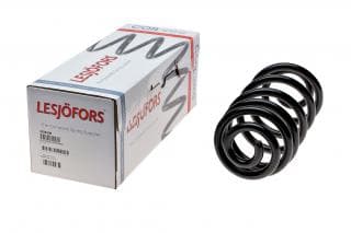Пружина (задня) BMW X6 (E71/E72) 30d/35d/i/40d/50i xDrive 07-14 (SUV) (з пост.d)(без AdaptiveDrive)