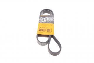 Ремінь генератора Ford Focus 1.8/2.0 04-12