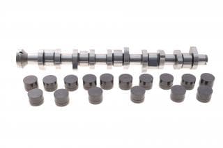 Комплект розподільчого валу VW T5 2.5 TDI 03-09, 96/120/128kw, (BNZ,AXD,BPC,AXE,BLJ)