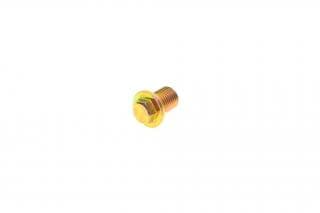 Болт зливу оливи Ford Transit -06 (M14x1,5mm)