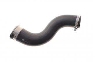 Патрубок інтеркулера Renault Megane III/Scenic III 1.9 dCi 08-