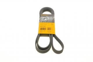 Ремінь генератора Infiniti FX/M45/Lexus GS/Mitsubishi Outlander 1.8-4.5 93-