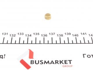 Заглушка блоку циліндрів (d=9mm) Латунь/Brass