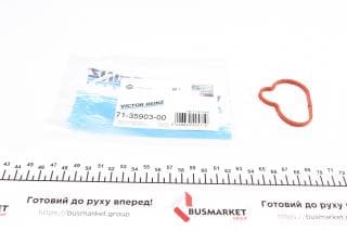 Прокладка колектора впускного Citroen Jumpy/Peugeot Expert 2.0i 00-06