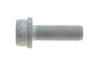 Болт кріплення скоби супорта (заднього) VW Golf IV 98-06 (M10x1.25x30)