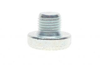 Пробка піддону картера АКПП зливна VW T5 3.2 VR6/2.5 TDI 03-09 (M10x1)