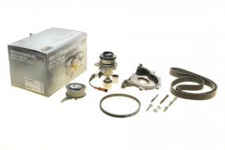 Комплект ГРМ + помпа VW T6/Golf/Passat/Caddy 1.6/2.0 TDI 15- (145x25)(P669 + сальник кол.+ пасок маслонас.)