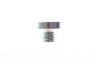 Пробка піддону картера АКПП зливна VW T5 3.2 VR6/2.5 TDI 03-09 (M10x1)