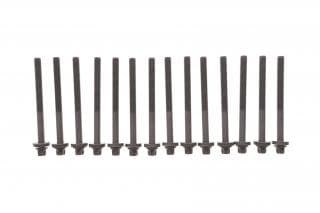 Болти головки (к-кт 14шт.) BMW 3 (E46)/5 (E36/E60/E61) 90- (L=147mm) M57 D30