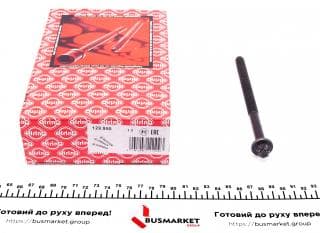 Болти головки (к-кт 10шт.) Peugeot 306/406/Citroen Xsara 1.8i 95-03